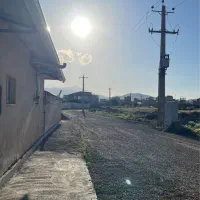 باغ مثمر در شهرصوفیان نزدیک جاده بین المللی