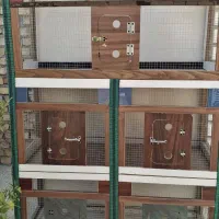 قفس خیلی حرفه ای شیک|لوازم جانبی حیوانات|مهریز, |دیوار