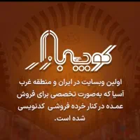 سرمایه گذار و شریک تجاری