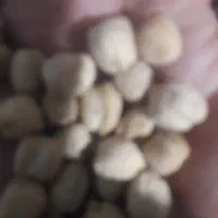 نخود درجه یک