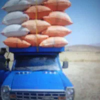 کاه گندم ریز نرم
