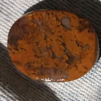 شجر پاییزه|جواهرات|خواف, |دیوار