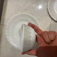 ظروف ارکوپال