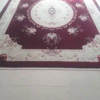 فرش سالم و تر تمیز|فرش|سقز, |دیوار