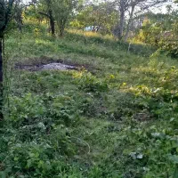 زمین ۱۳۰۰متری