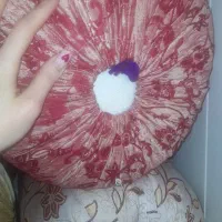 ۲۰ عددبالشت گل پر اصل اصفهان|رختخواب، بالش، پتو|لردگان, |دیوار