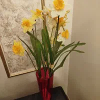 راهنمایی لطفاً کمک کنید