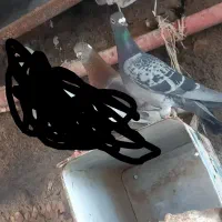 سبز اوقون پلاکی