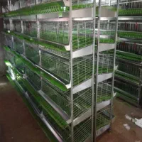 فروش قفس‌ایستاده تخم گذار‌ آکبند