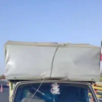 اسکلت