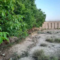 تهاتر با باغچه ۲۶۰۰ متر زمین قلفتی بحر خ