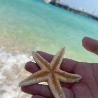 تفریحات کیش و تور کیش و رنت ماشین|تور و چارتر|کیش, |دیوار