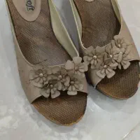 کفش نو|کیف، کفش، کمربند|گرگان, |دیوار