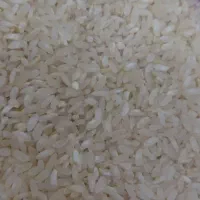 برنج کامفیروزی