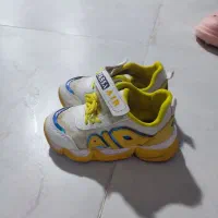 کفش|کیف، کفش، کمربند|بندر کنگان, |دیوار