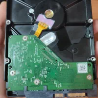 هارد ۱ (یک) ترابایت بنفش-دوربین|قطعات و لوازم جانبی رایانه|رشت, ترمینال|دیوار