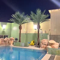 انواع درخت،درختچه مصنوعی جاودان،نخل،شکوفه،بابا ادم