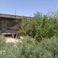 خواهان کلنگی لوکیشن خوب
