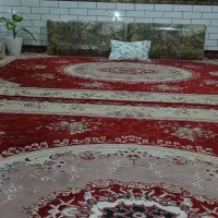 ۲تاقالی در حد نو