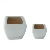 گلدانهای کاکتوسی 5 و 8 سانتی