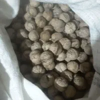 گردو.خوانسار