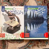تناسب مفهومی و دستور زبان هامون سبطی