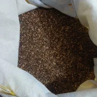 ماش  کنجد