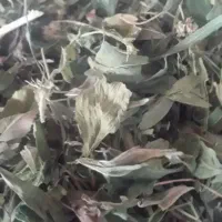 علف پرس کاه عدس