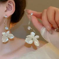 بدلیجات اکسسوری