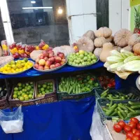 میوه فروش حرفه ای