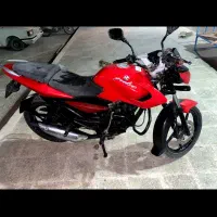 پالس ۱۳۵|موتورسیکلت|کوخرد هرنگ, |دیوار