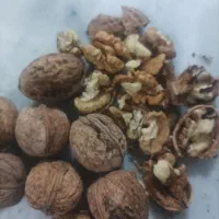 پرمغز|خوردنی و آشامیدنی|قوچان, |دیوار