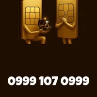 0999-107-9999