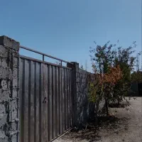 باغچه و باغ محوطه سازی /مسیراسفالت/انواع میوه|فروش زمین و ملک کلنگی|چهاردانگه (تهران), |دیوار