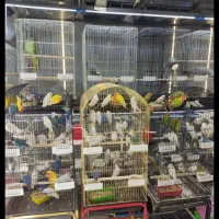 فروش انواع قفس پرنده ولوازم جانبی به قیمت عمده...