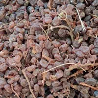 فروش انواع کشمش ، خریدار انواع کشمش|خوردنی و آشامیدنی|تاکستان, |دیوار