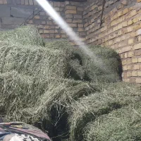 بده یونجه پرسی