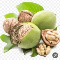 گردو