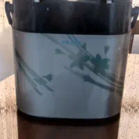 فلاکس دوقلو