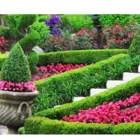 امورباغبانی و گل وگیاه