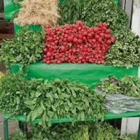 فروشنده سبزی