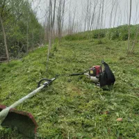علفزنی یا علفتراشی|خدمات باغبانی و درختکاری|چابکسر, |دیوار