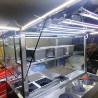 گاری فست فود تمام استیل