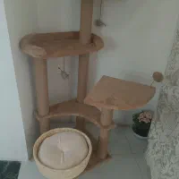 اسکچر