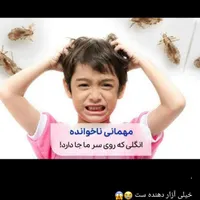 رفع قطعی و تضمینی شپش و رشک در مراکز|خدمات آرایشگری و زیبایی|تهران, افسریه|دیوار