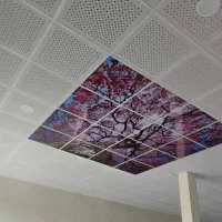 سقف کاذب وپی وی سی دنیایی از زیبایی وکیفیت|خدمات پیشه و مهارت|یاسوج, |دیوار