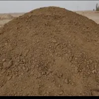 کودحیوانی گوسفند