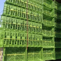 سبد گلابی و گیلاس