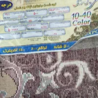 فرش|فرش|کرمانشاه, |دیوار