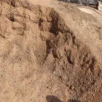 کود تحویل سر زمین|خدمات باغبانی و درختکاری|بوشهر, |دیوار